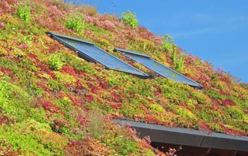 Burncross living roof systems
